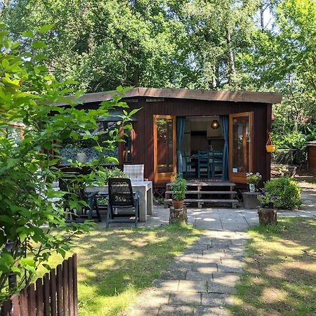 Sfeervol Chaletje In Een Rustige Bosrijke Omgeving Diessen Exteriör bild
