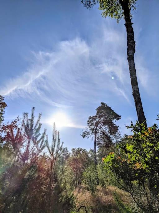 Sfeervol Chaletje In Een Rustige Bosrijke Omgeving Diessen Exteriör bild