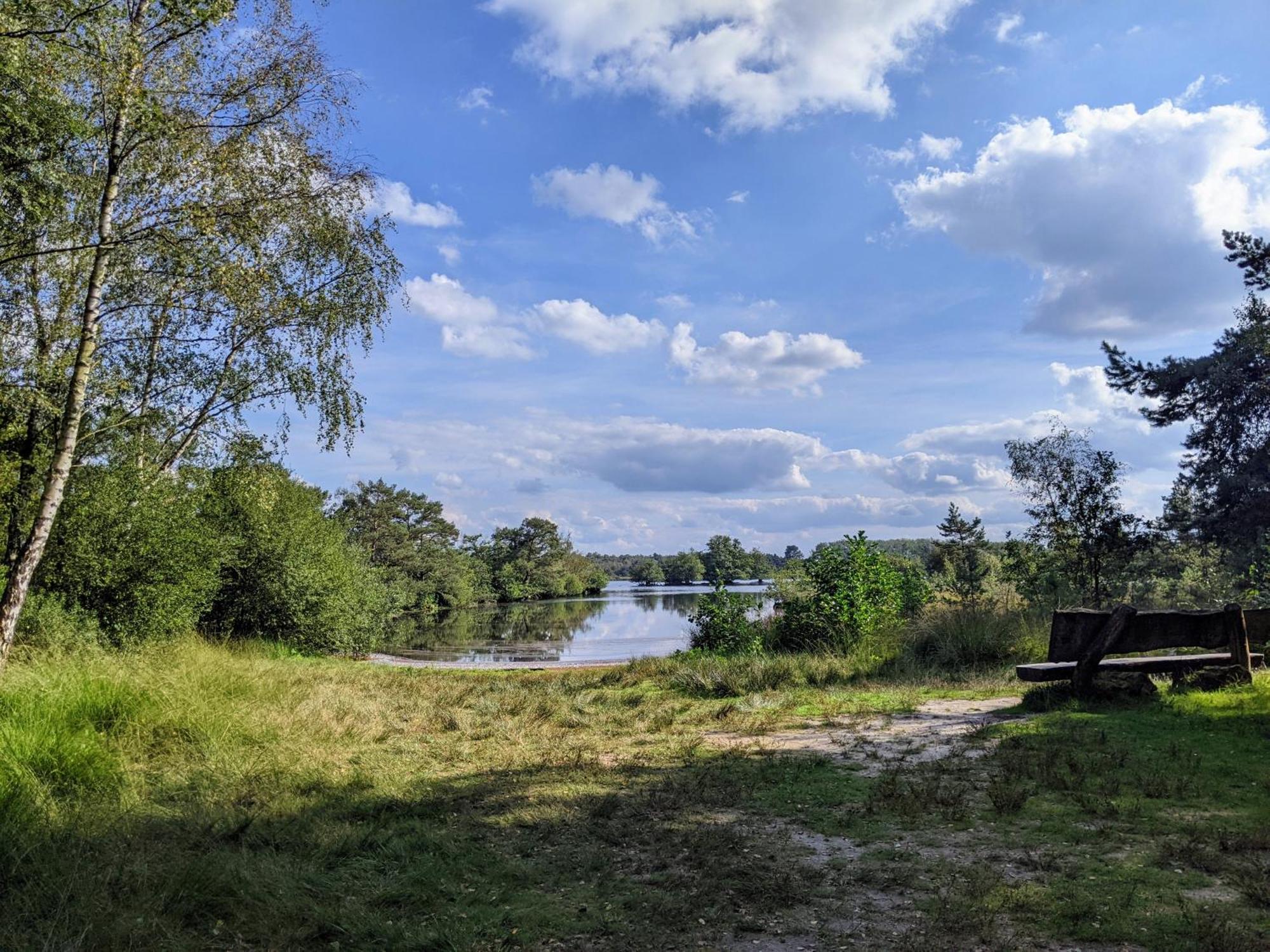 Sfeervol Chaletje In Een Rustige Bosrijke Omgeving Diessen Exteriör bild