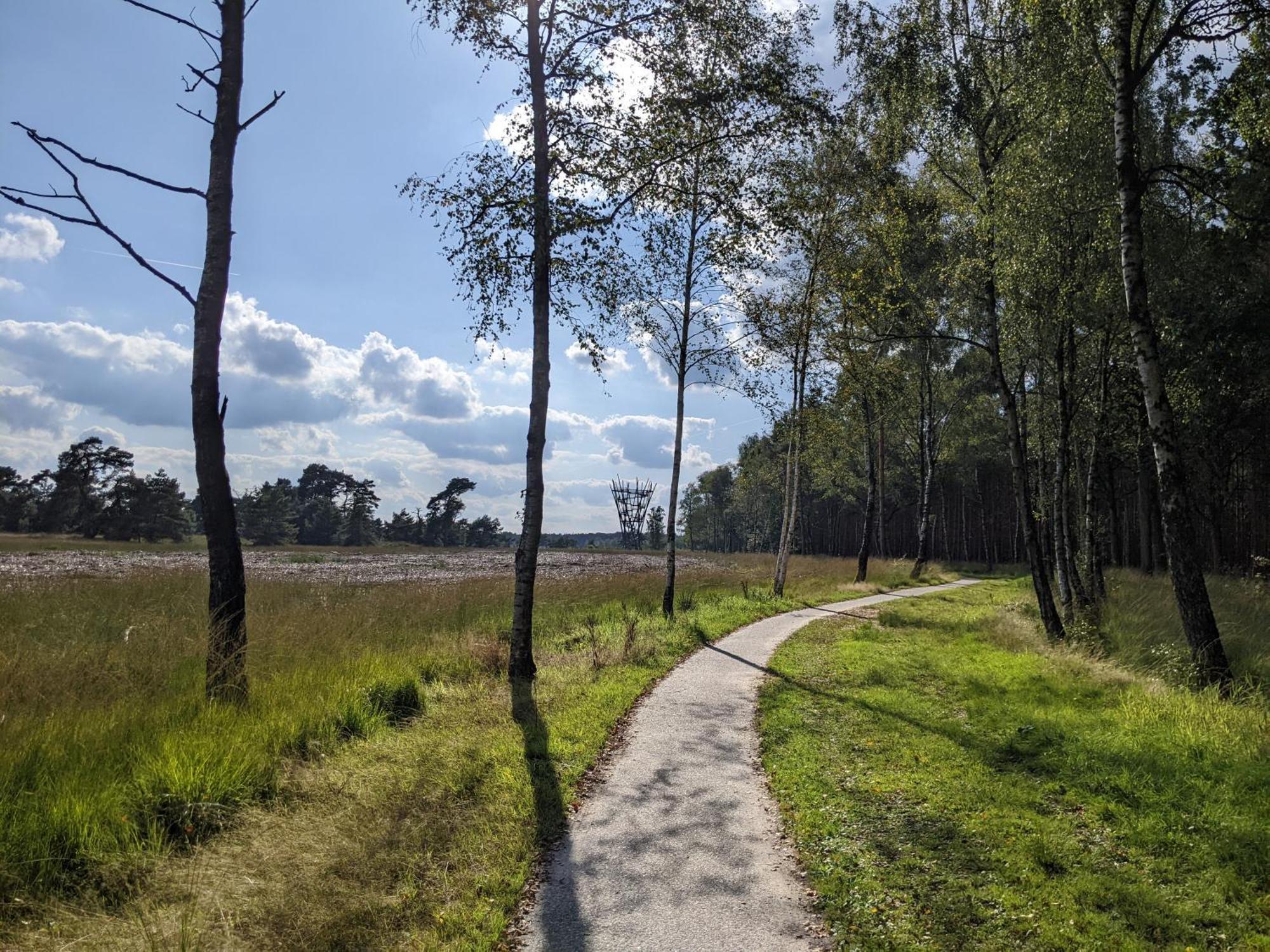Sfeervol Chaletje In Een Rustige Bosrijke Omgeving Diessen Exteriör bild